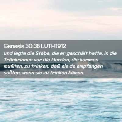 Picture 02 - Genesis 30:38 LUTH1912 - und legte die Stäbe, die er geschält hatte, in - Bible Verse Picture