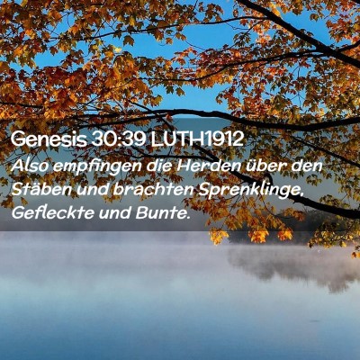 Picture 02 - Genesis 30:39 LUTH1912 - Also empfingen die Herden über den Stäben und - Bible Verse Picture