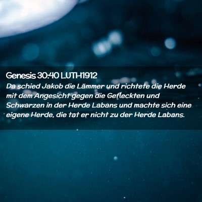 Picture 02 - Genesis 30:40 LUTH1912 - Da schied Jakob die Lämmer und richtete die - Bible Verse Picture