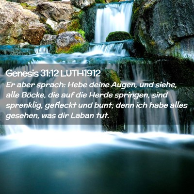 Picture 02 - Genesis 31:12 LUTH1912 - Er aber sprach: Hebe deine Augen, und siehe, alle - Bible Verse Picture