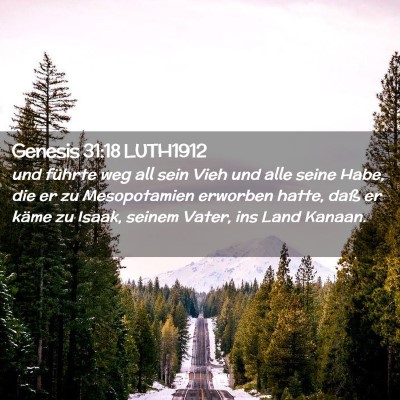 Picture 02 - Genesis 31:18 LUTH1912 - und führte weg all sein Vieh und alle seine - Bible Verse Picture