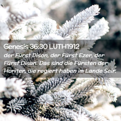 Picture 02 - Genesis 36:30 LUTH1912 - der Fürst Dison, der Fürst Ezer, der Fürst - Bible Verse Picture