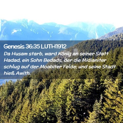Picture 02 - Genesis 36:35 LUTH1912 - Da Husam starb, ward König an seiner Statt - Bible Verse Picture