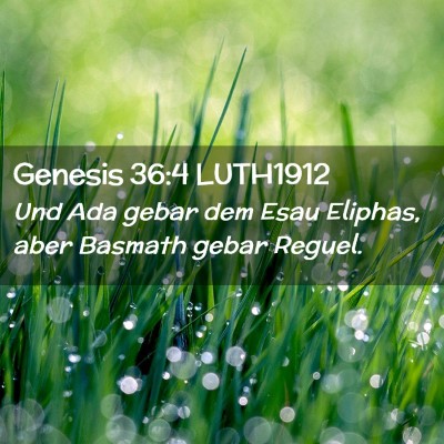 Picture 02 - Genesis 36:4 LUTH1912 - Und Ada gebar dem Esau Eliphas, aber Basmath - Bible Verse Picture