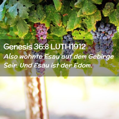 Picture 02 - Genesis 36:8 LUTH1912 - Also wohnte Esau auf dem Gebirge Seir. Und Esau - Bible Verse Picture