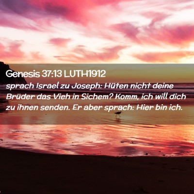 Picture 02 - Genesis 37:13 LUTH1912 - sprach Israel zu Joseph: Hüten nicht deine - Bible Verse Picture