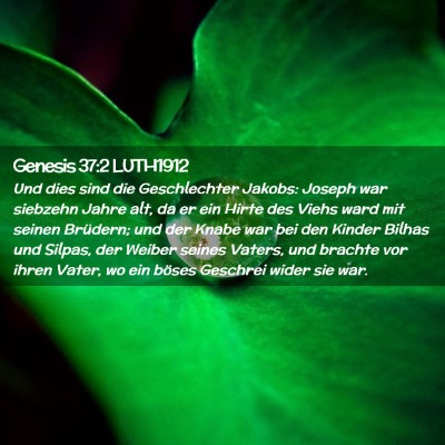 Picture 02 - Genesis 37:2 LUTH1912 - Und dies sind die Geschlechter Jakobs: Joseph war - Bible Verse Picture