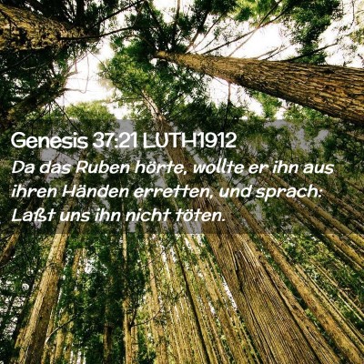 Picture 02 - Genesis 37:21 LUTH1912 - Da das Ruben hörte, wollte er ihn aus ihren - Bible Verse Picture