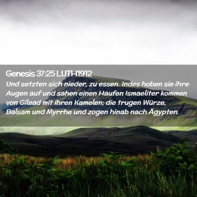 Picture 02 - Genesis 37:25 LUTH1912 - Und setzten sich nieder, zu essen. Indes hoben - Bible Verse Picture
