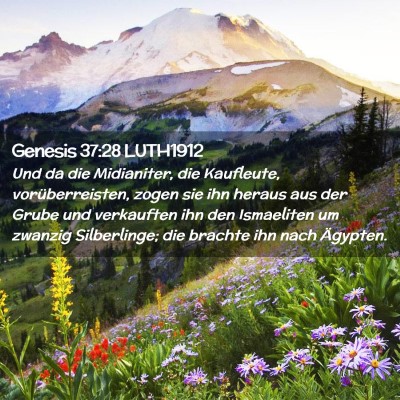 Picture 02 - Genesis 37:28 LUTH1912 - Und da die Midianiter, die Kaufleute, - Bible Verse Picture