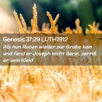 Picture 02 - Genesis 37:29 LUTH1912 - Als nun Ruben wieder zur Grube kam und fand er - Bible Verse Picture