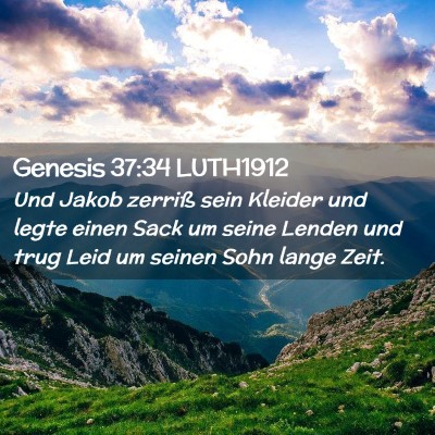Picture 02 - Genesis 37:34 LUTH1912 - Und Jakob zerriß sein Kleider und legte einen - Bible Verse Picture