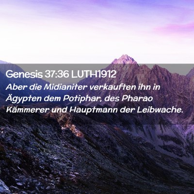 Picture 02 - Genesis 37:36 LUTH1912 - Aber die Midianiter verkauften ihn in Ägypten - Bible Verse Picture