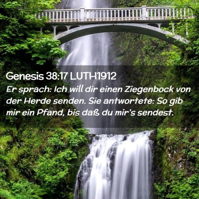 Picture 02 - Genesis 38:17 LUTH1912 - Er sprach: Ich will dir einen Ziegenbock von der - Bible Verse Picture