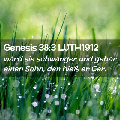 Picture 02 - Genesis 38:3 LUTH1912 - ward sie schwanger und gebar einen Sohn, den - Bible Verse Picture
