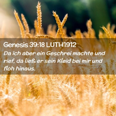 Picture 02 - Genesis 39:18 LUTH1912 - Da ich aber ein Geschrei machte und rief, da - Bible Verse Picture