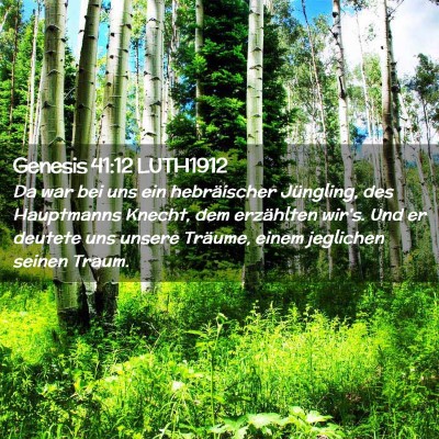 Picture 02 - Genesis 41:12 LUTH1912 - Da war bei uns ein hebräischer Jüngling, des - Bible Verse Picture