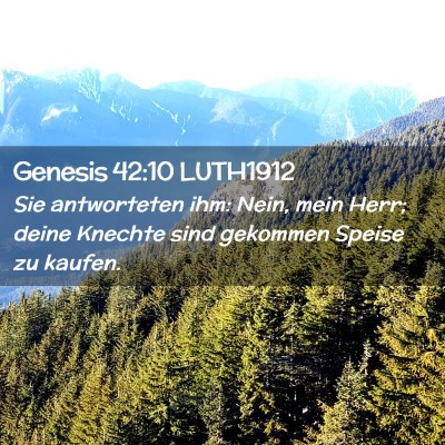 Picture 02 - Genesis 42:10 LUTH1912 - Sie antworteten ihm: Nein, mein Herr; deine - Bible Verse Picture