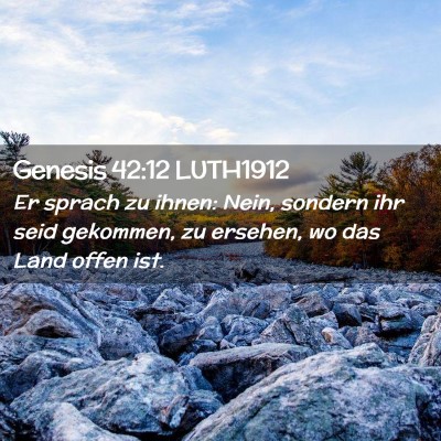 Picture 02 - Genesis 42:12 LUTH1912 - Er sprach zu ihnen: Nein, sondern ihr seid - Bible Verse Picture