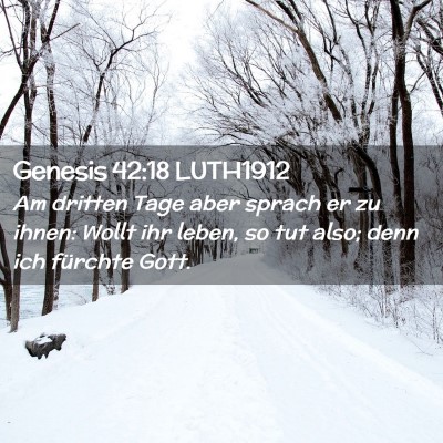 Picture 02 - Genesis 42:18 LUTH1912 - Am dritten Tage aber sprach er zu ihnen: Wollt - Bible Verse Picture