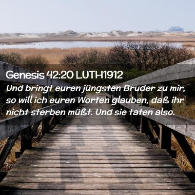 Picture 02 - Genesis 42:20 LUTH1912 - Und bringt euren jüngsten Bruder zu mir, so will - Bible Verse Picture