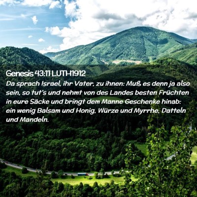 Picture 02 - Genesis 43:11 LUTH1912 - Da sprach Israel, ihr Vater, zu ihnen: Muß es - Bible Verse Picture