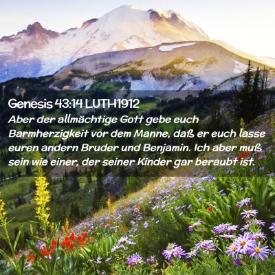 Picture 02 - Genesis 43:14 LUTH1912 - Aber der allmächtige Gott gebe euch - Bible Verse Picture