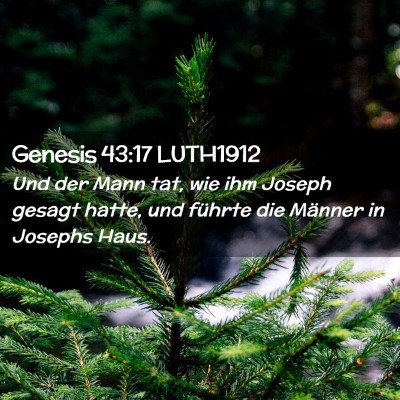Picture 02 - Genesis 43:17 LUTH1912 - Und der Mann tat, wie ihm Joseph gesagt hatte, - Bible Verse Picture