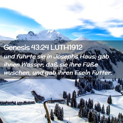 Picture 02 - Genesis 43:24 LUTH1912 - und führte sie in Josephs Haus, gab ihnen - Bible Verse Picture