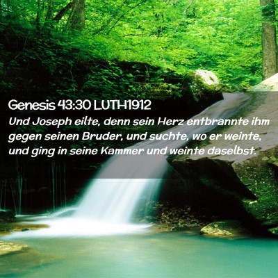 Picture 02 - Genesis 43:30 LUTH1912 - Und Joseph eilte, denn sein Herz entbrannte ihm - Bible Verse Picture