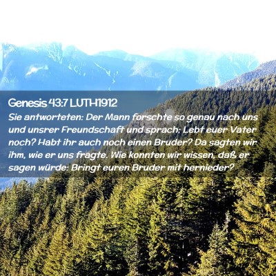 Picture 02 - Genesis 43:7 LUTH1912 - Sie antworteten: Der Mann forschte so genau nach - Bible Verse Picture
