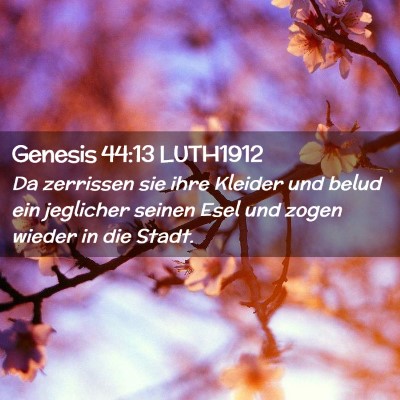 Picture 02 - Genesis 44:13 LUTH1912 - Da zerrissen sie ihre Kleider und belud ein - Bible Verse Picture