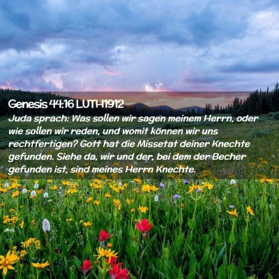 Picture 02 - Genesis 44:16 LUTH1912 - Juda sprach: Was sollen wir sagen meinem Herrn, - Bible Verse Picture