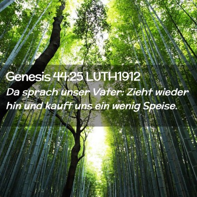 Picture 02 - Genesis 44:25 LUTH1912 - Da sprach unser Vater: Zieht wieder hin und kauft - Bible Verse Picture