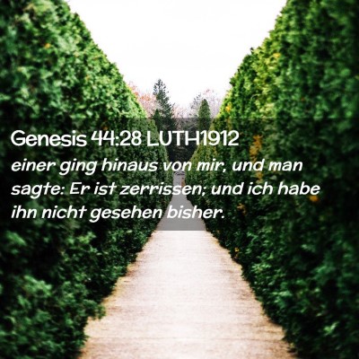 Picture 02 - Genesis 44:28 LUTH1912 - einer ging hinaus von mir, und man sagte: Er ist - Bible Verse Picture