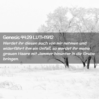 Picture 02 - Genesis 44:29 LUTH1912 - Werdet ihr diesen auch von mir nehmen und - Bible Verse Picture