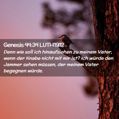 Picture 02 - Genesis 44:34 LUTH1912 - Denn wie soll ich hinaufziehen zu meinem Vater, - Bible Verse Picture