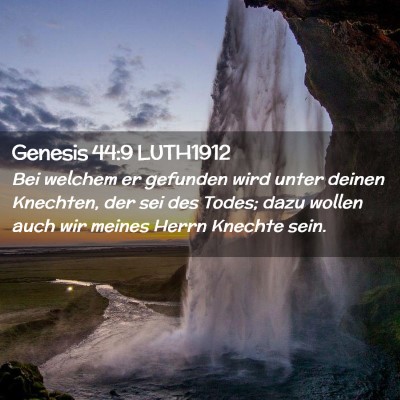 Picture 02 - Genesis 44:9 LUTH1912 - Bei welchem er gefunden wird unter deinen - Bible Verse Picture