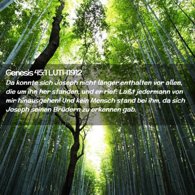 Picture 02 - Genesis 45:1 LUTH1912 - Da konnte sich Joseph nicht länger enthalten vor - Bible Verse Picture
