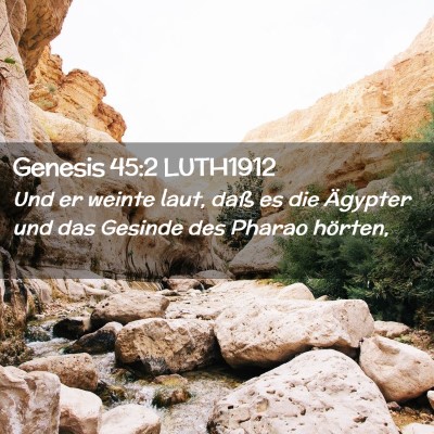 Picture 02 - Genesis 45:2 LUTH1912 - Und er weinte laut, daß es die Ägypter und das - Bible Verse Picture