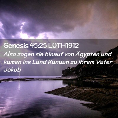 Picture 02 - Genesis 45:25 LUTH1912 - Also zogen sie hinauf von Ägypten und kamen ins - Bible Verse Picture