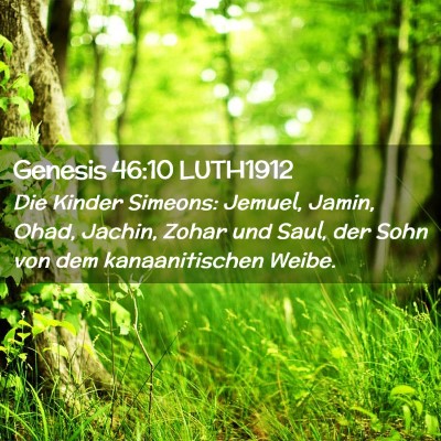 Picture 02 - Genesis 46:10 LUTH1912 - Die Kinder Simeons: Jemuel, Jamin, Ohad, Jachin, - Bible Verse Picture