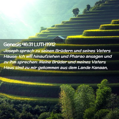 Picture 02 - Genesis 46:31 LUTH1912 - Joseph sprach zu seinen Brüdern und seines - Bible Verse Picture