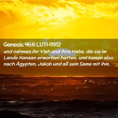 Picture 02 - Genesis 46:6 LUTH1912 - und nahmen ihr Vieh und ihre Habe, die sie im - Bible Verse Picture