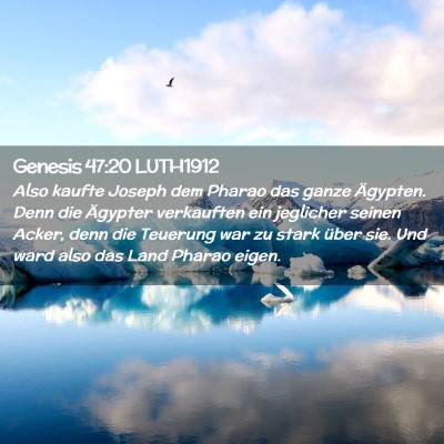 Picture 02 - Genesis 47:20 LUTH1912 - Also kaufte Joseph dem Pharao das ganze Ägypten. - Bible Verse Picture