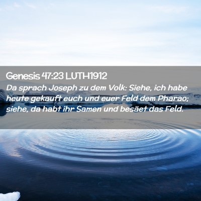 Picture 02 - Genesis 47:23 LUTH1912 - Da sprach Joseph zu dem Volk: Siehe, ich habe - Bible Verse Picture
