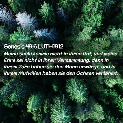 Picture 02 - Genesis 49:6 LUTH1912 - Meine Seele komme nicht in ihren Rat, und meine - Bible Verse Picture