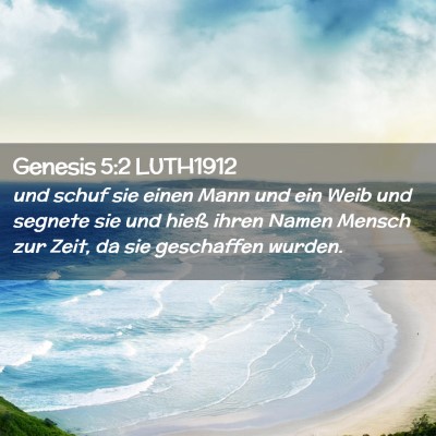Picture 02 - Genesis 5:2 LUTH1912 - und schuf sie einen Mann und ein Weib und segnete - Bible Verse Picture