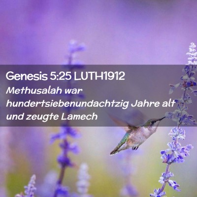 Picture 02 - Genesis 5:25 LUTH1912 - Methusalah war hundertsiebenundachtzig Jahre alt - Bible Verse Picture