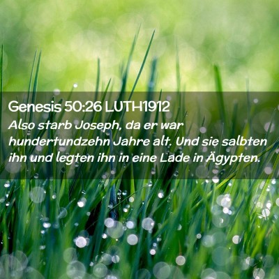 Picture 02 - Genesis 50:26 LUTH1912 - Also starb Joseph, da er war hundertundzehn Jahre - Bible Verse Picture
